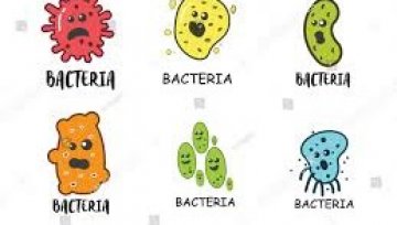Understanding Bacterial Infections of the Respiratory System